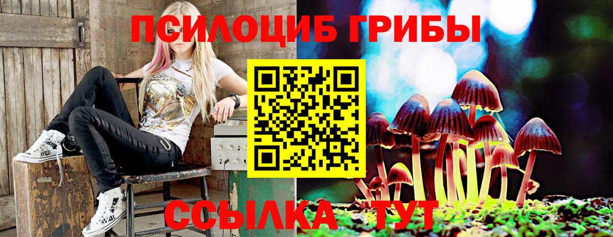 Галлюциногенные грибы мицелий  Галлюциногенные грибы MAGIC MUSHROOMS  Вход с VPN  Вологда 