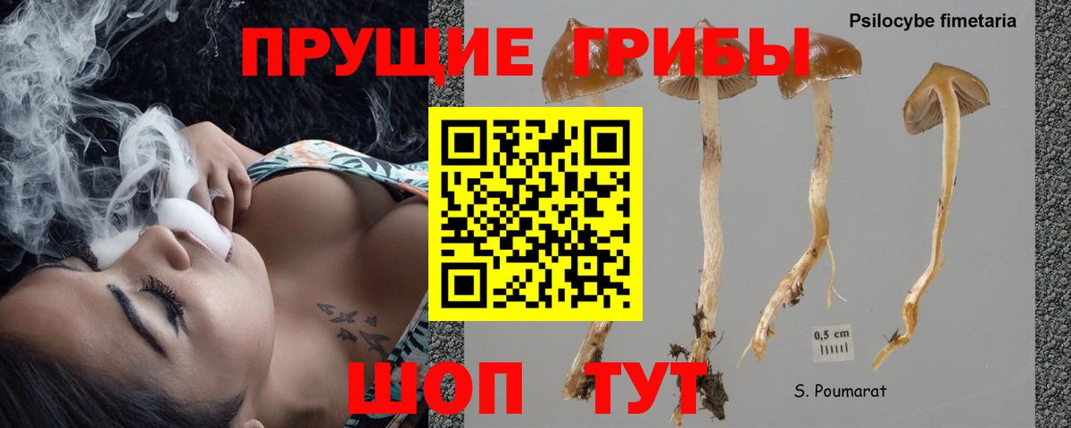 Галлюциногенные грибы GOLDEN TEACHER Вологда